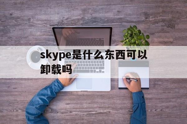 skype是什么东西可以卸载吗,skype是什么东西可以卸载吗安全吗