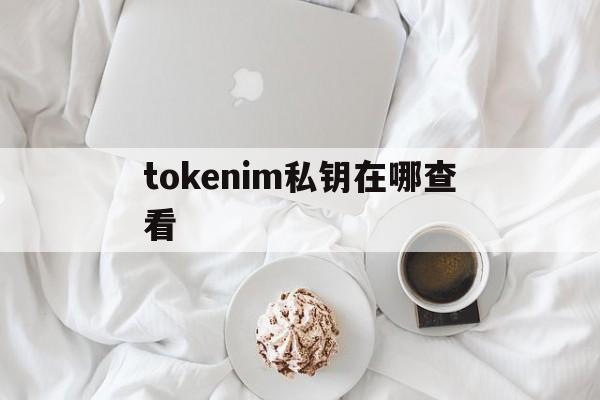 tokenim私钥在哪查看的简单介绍