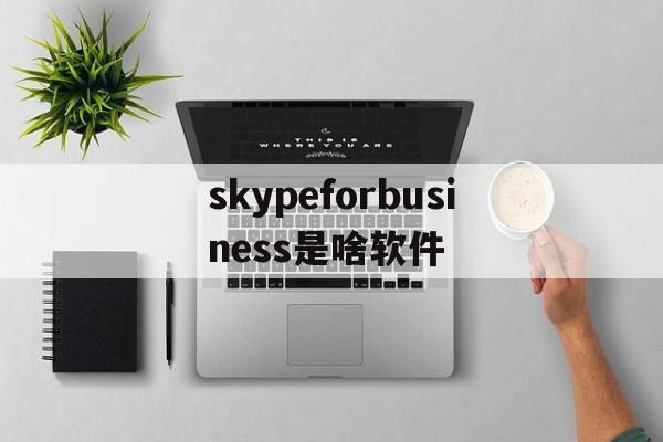 skypeforbusiness是啥软件,skype for business是干什么的