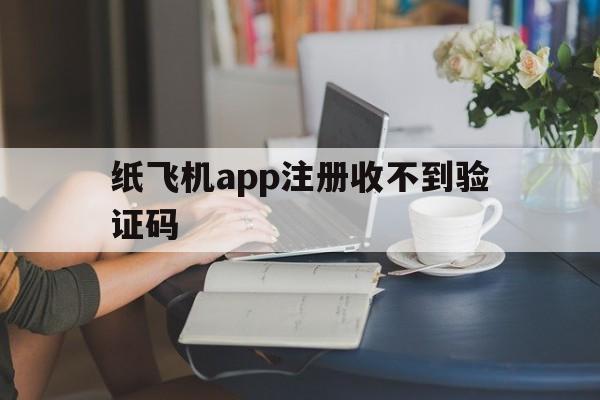 纸飞机app注册收不到验证码,纸飞机app收不到验证码怎么回事