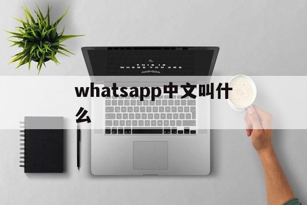 whatsapp中文叫什么,whatsapp中文叫什么名字