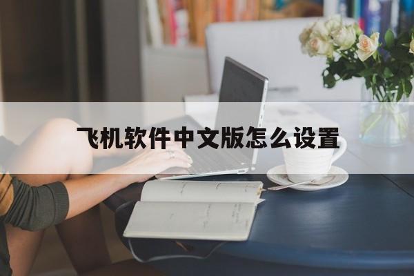 飞机软件中文版怎么设置,手机飞机软件怎么设置中文