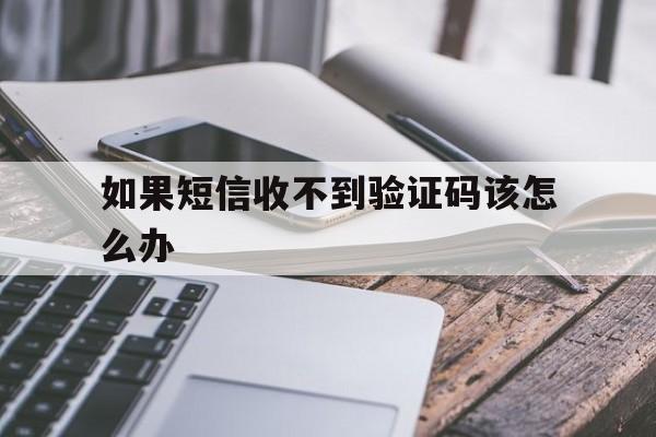 如果短信收不到验证码该怎么办,如果短信收不到验证码该怎么办理