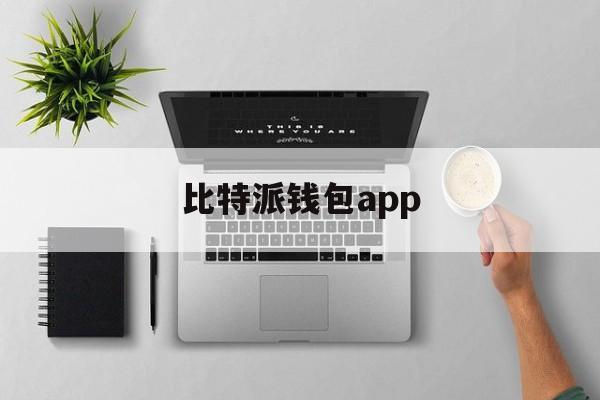 比特派钱包app,比特派钱包app中文版