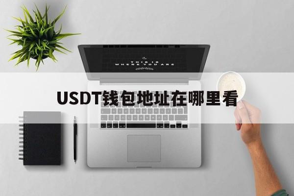 关于USDT钱包地址在哪里看的信息