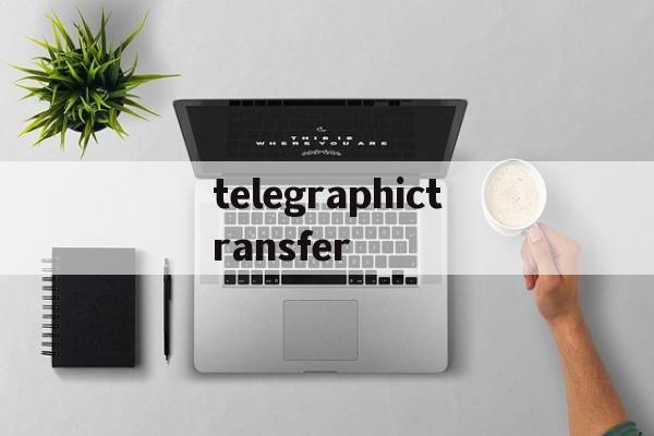 telegraphictransfer,TelegraphicTransfer 翻译