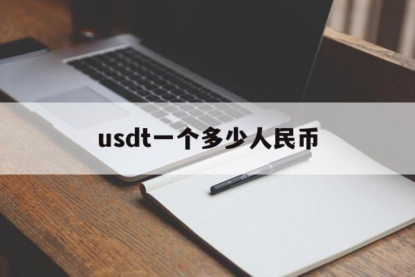 usdt一个多少人民币,一个usdt等于多少美金