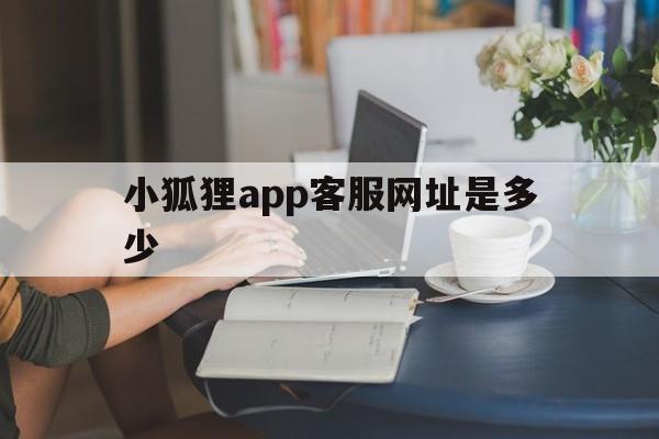 小狐狸app客服网址是多少,小狐狸app客服网址是多少号