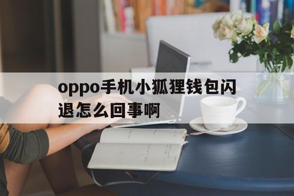 oppo手机小狐狸钱包闪退怎么回事啊,oppo手机小狐狸钱包闪退怎么回事啊怎么解决