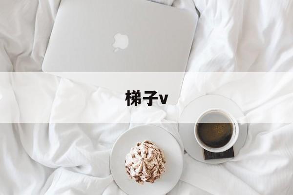 梯子v,梯子vps加速器