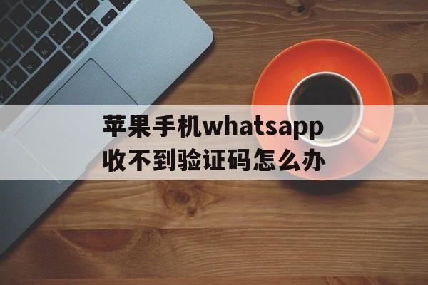 苹果手机whatsapp收不到验证码怎么办,苹果手机whatsapp收不到验证码怎么办呢