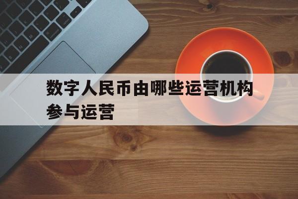 数字人民币由哪些运营机构参与运营,数字人民币由哪些运营机构参与运营的