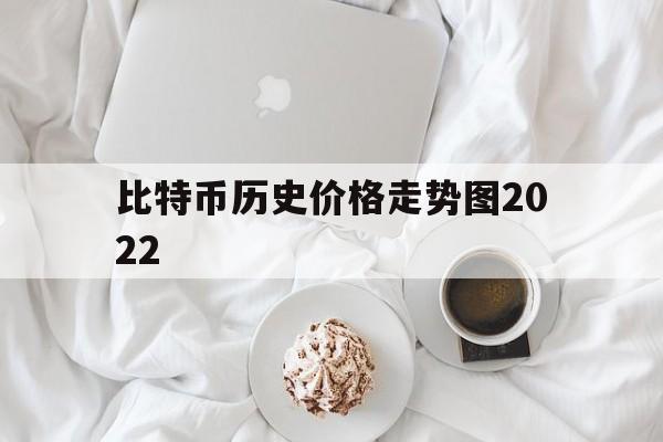 比特币历史价格走势图2022,比特币历史价格走势图2009年