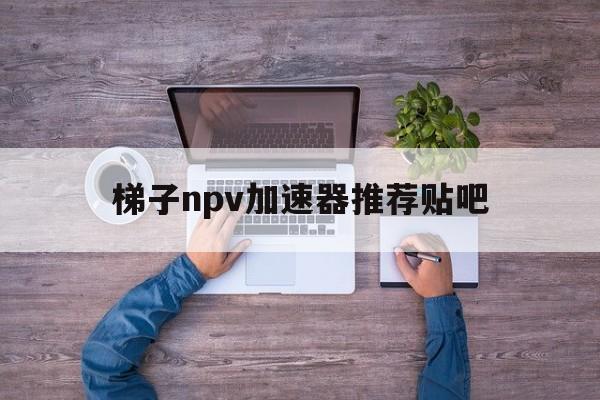 梯子npv加速器推荐贴吧的简单介绍