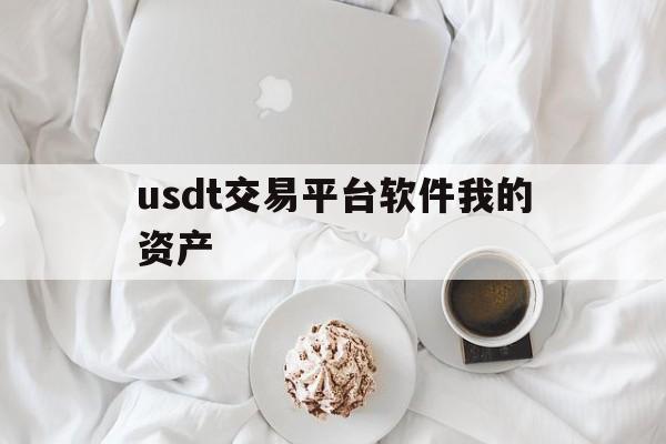 包含usdt交易平台软件我的资产的词条