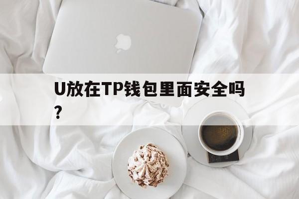 U放在TP钱包里面安全吗?,tp钱包里的u可以转到交易所